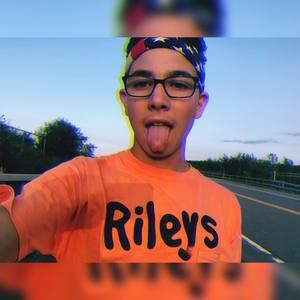 Meet your Posher, Harrison